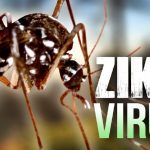 contro_il_virus_zika_2