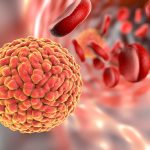 news_img1_86931_virus-zika