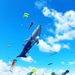 Skyward Kites 2018