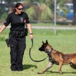 k9