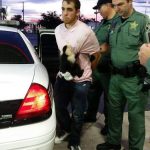 florida man monkey