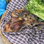 090628_iguana