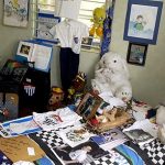 6. MUSEO